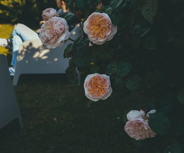 Dimora Santo Stefano 3*