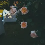 Dimora Santo Stefano 3*